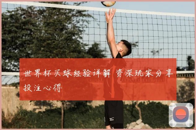 世界杯买球经验详解 资深玩家分享投注心得