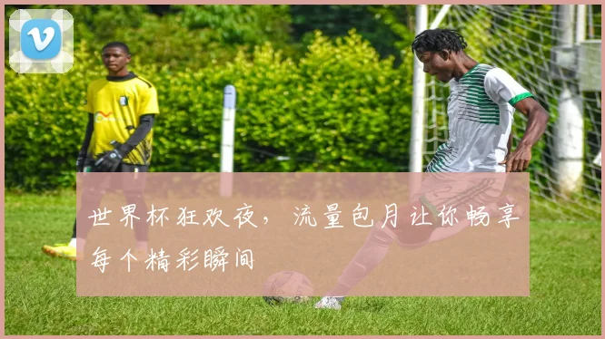 世界杯狂欢夜，流量包月让你畅享每个精彩瞬间