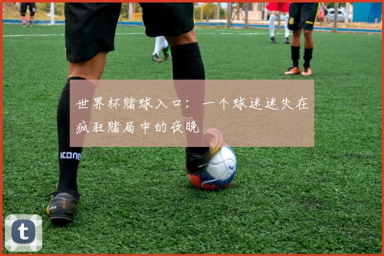 世界杯赌球入口：一个球迷迷失在疯狂赌局中的夜晚