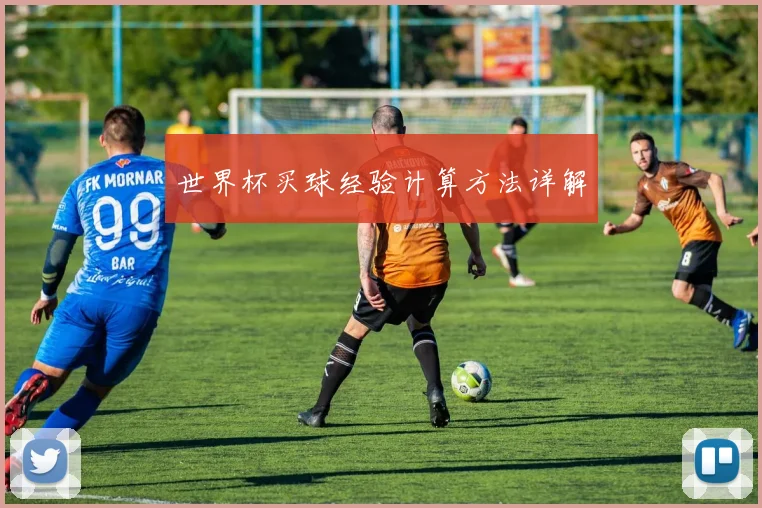 世界杯买球经验计算方法详解