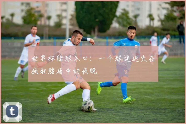 世界杯赌球入口：一个球迷迷失在疯狂赌局中的夜晚