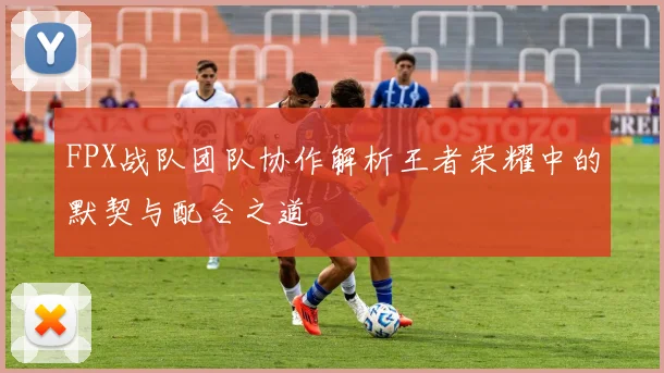 FPX战队团队协作解析王者荣耀中的默契与配合之道