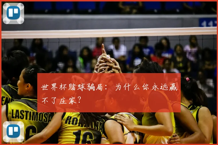 世界杯赌球骗局:为什么你永远赢不了庄家?
