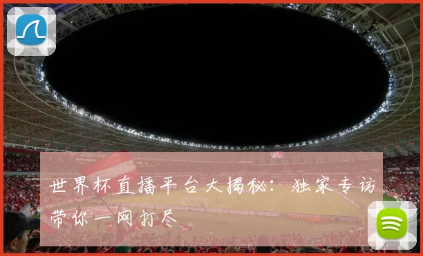 世界杯直播平台大揭秘：独家专访带你一网打尽
