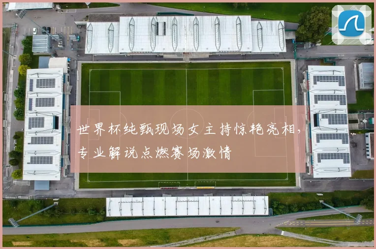 世界杯纯甄现场女主持惊艳亮相，专业解说点燃赛场激情