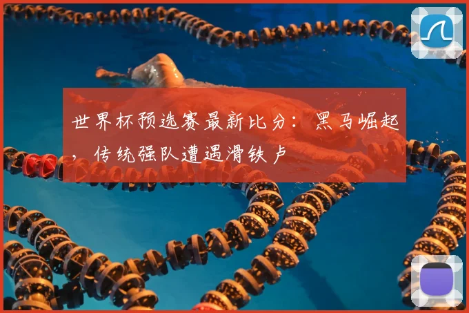 世界杯预选赛最新比分：黑马崛起，传统强队遭遇滑铁卢