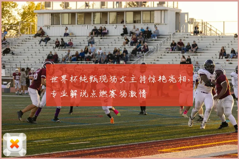 世界杯纯甄现场女主持惊艳亮相，专业解说点燃赛场激情