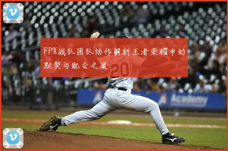 FPX战队团队协作解析王者荣耀中的默契与配合之道