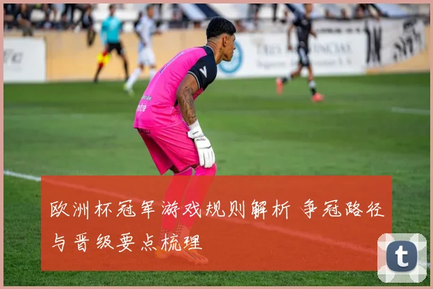 欧洲杯冠军游戏规则解析 争冠路径与晋级要点梳理